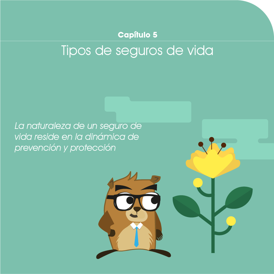 Seguro de Vida: capítulo 5, tipos de seguros de vida