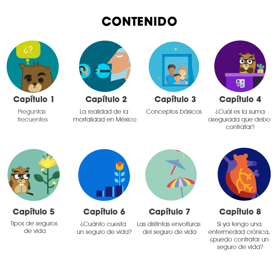 Seguro de Vida: contenidos